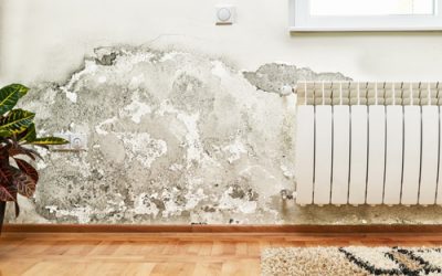 Comment reconnaitre les problèmes d’humidité et d’infiltration dans votre maison ?